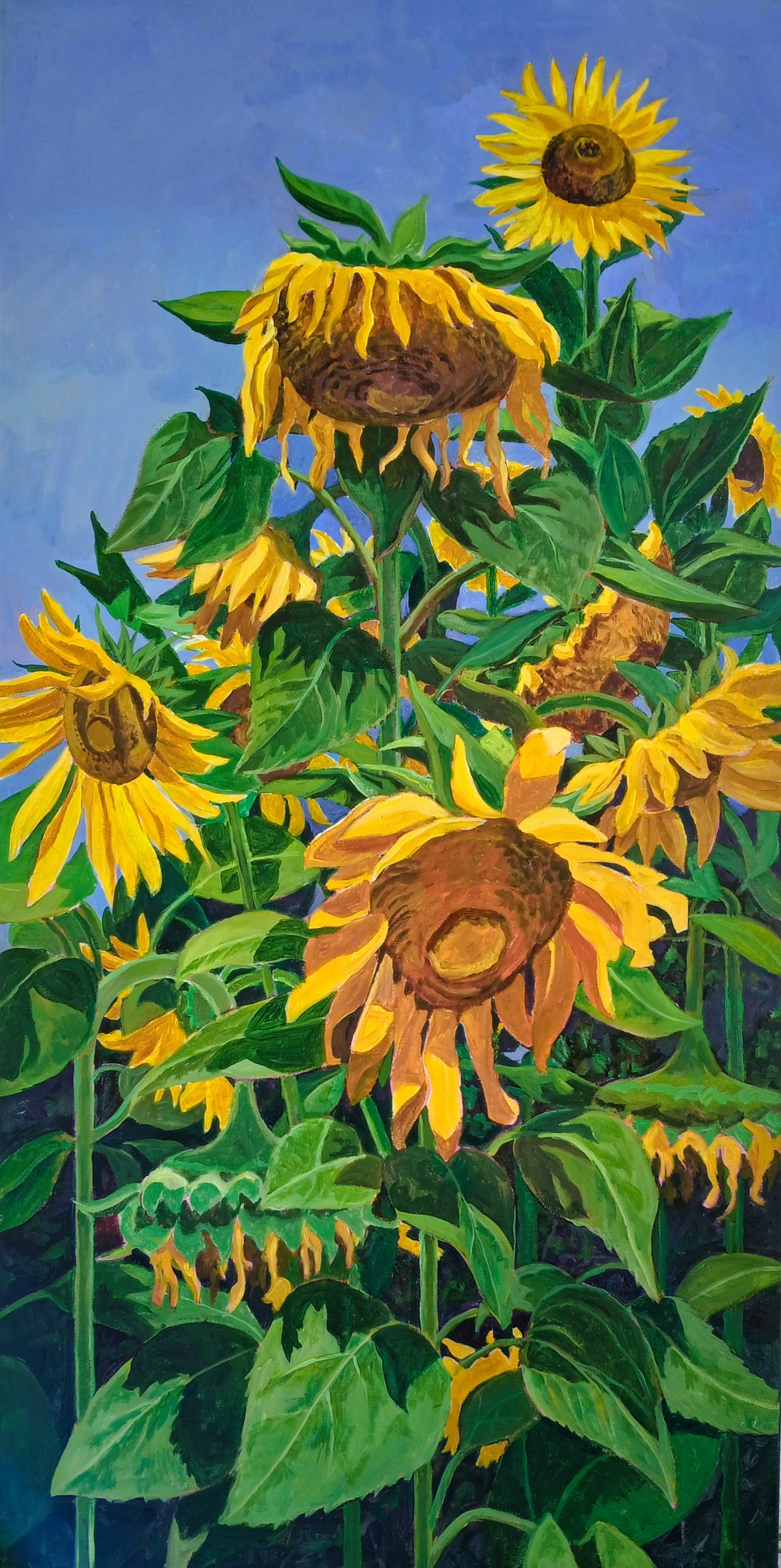 Sunflower Afternoon
