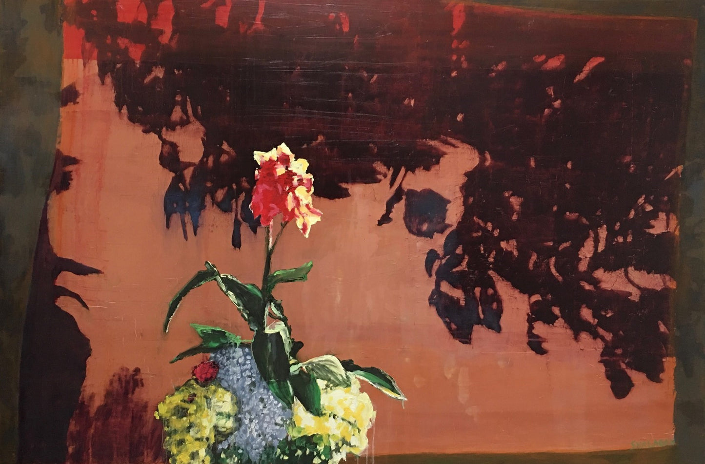 Amaryllis
