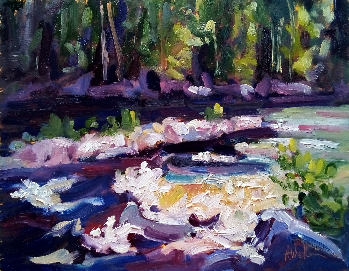 Dancing Rapids (Riviere a Mars-La Baie-PQ)