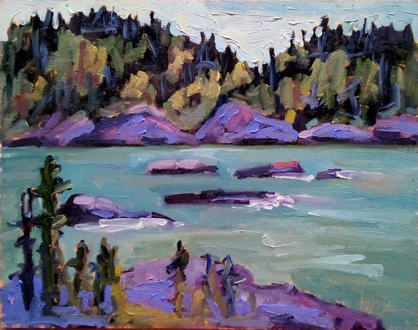 Waves Breaking at an Inlet (Pukaskwa National Park-ON)