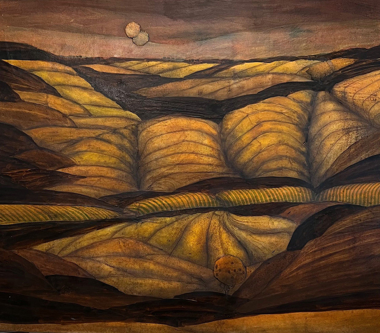 Valley Series: Field Muscle