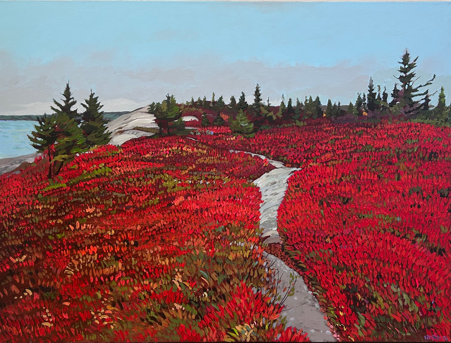 The Lookoff - Blueberry Field