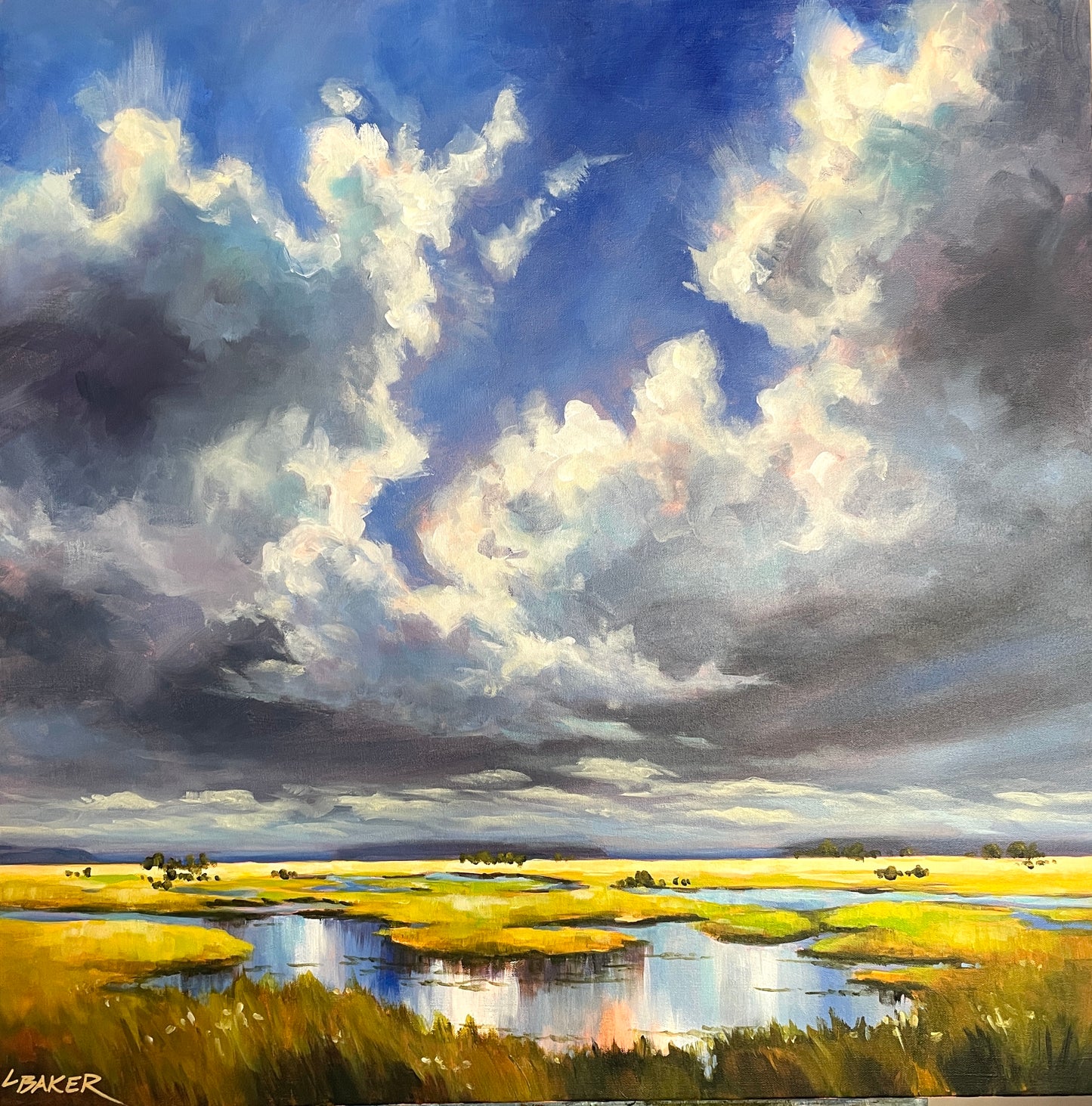 The Marsh