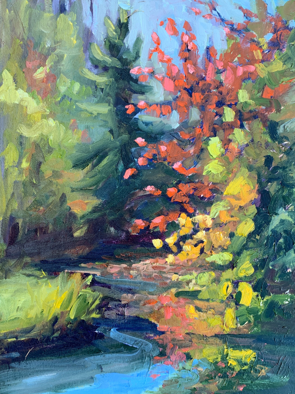 Autumn Splendour