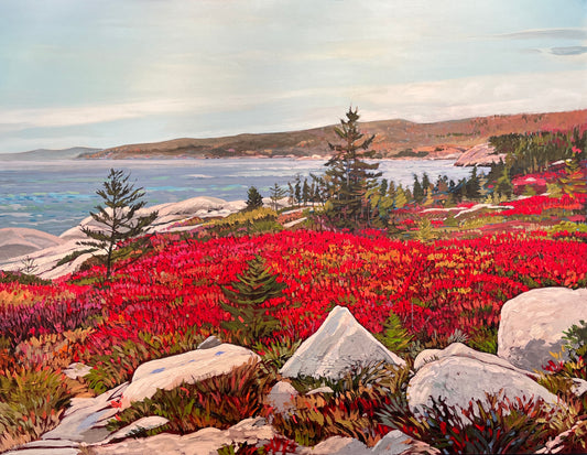 Looking Towards Duncan's Cove