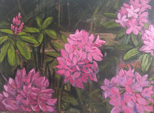 Forest Rhododendron