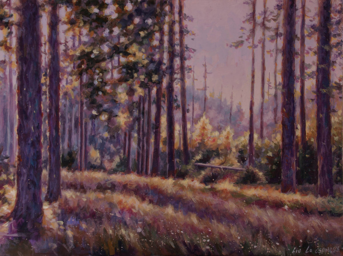 A Walk in the Woods