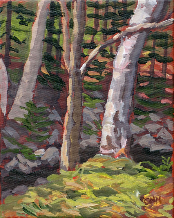 Silver Birch - Sherbrooke Village