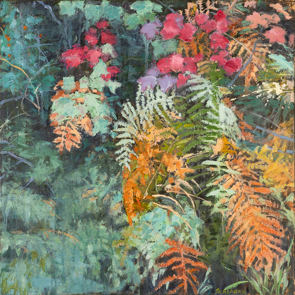 Forest Floor