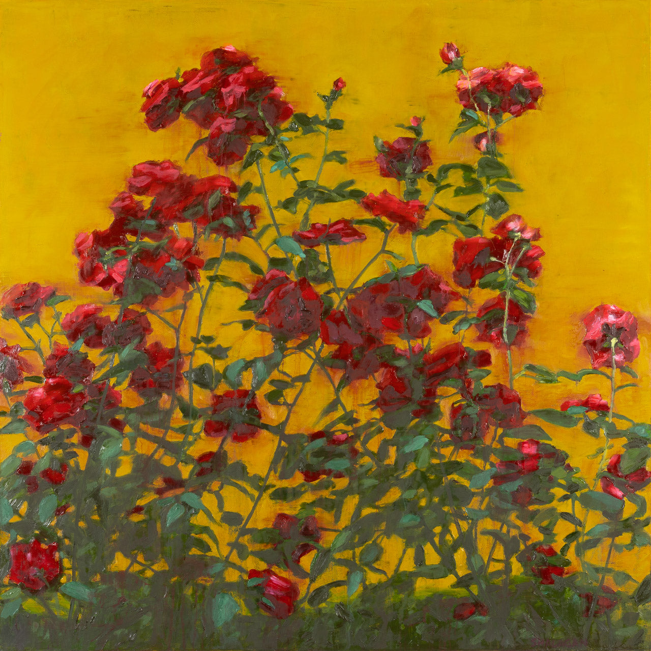 Rose Garden
