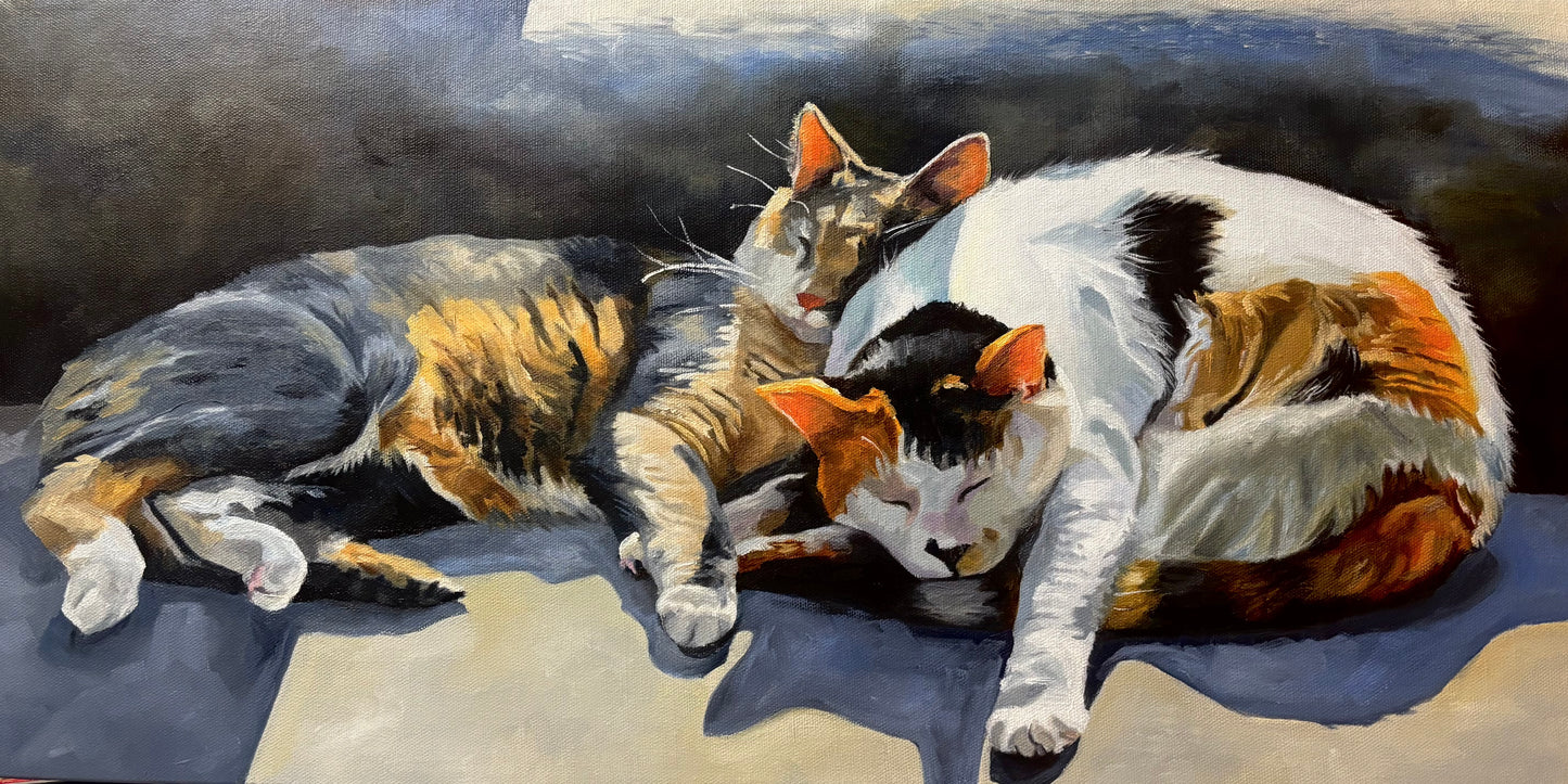 Calicos