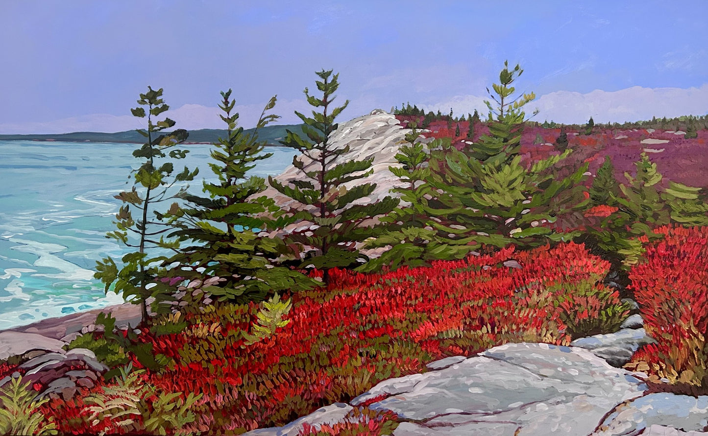 Towards The Lookoff