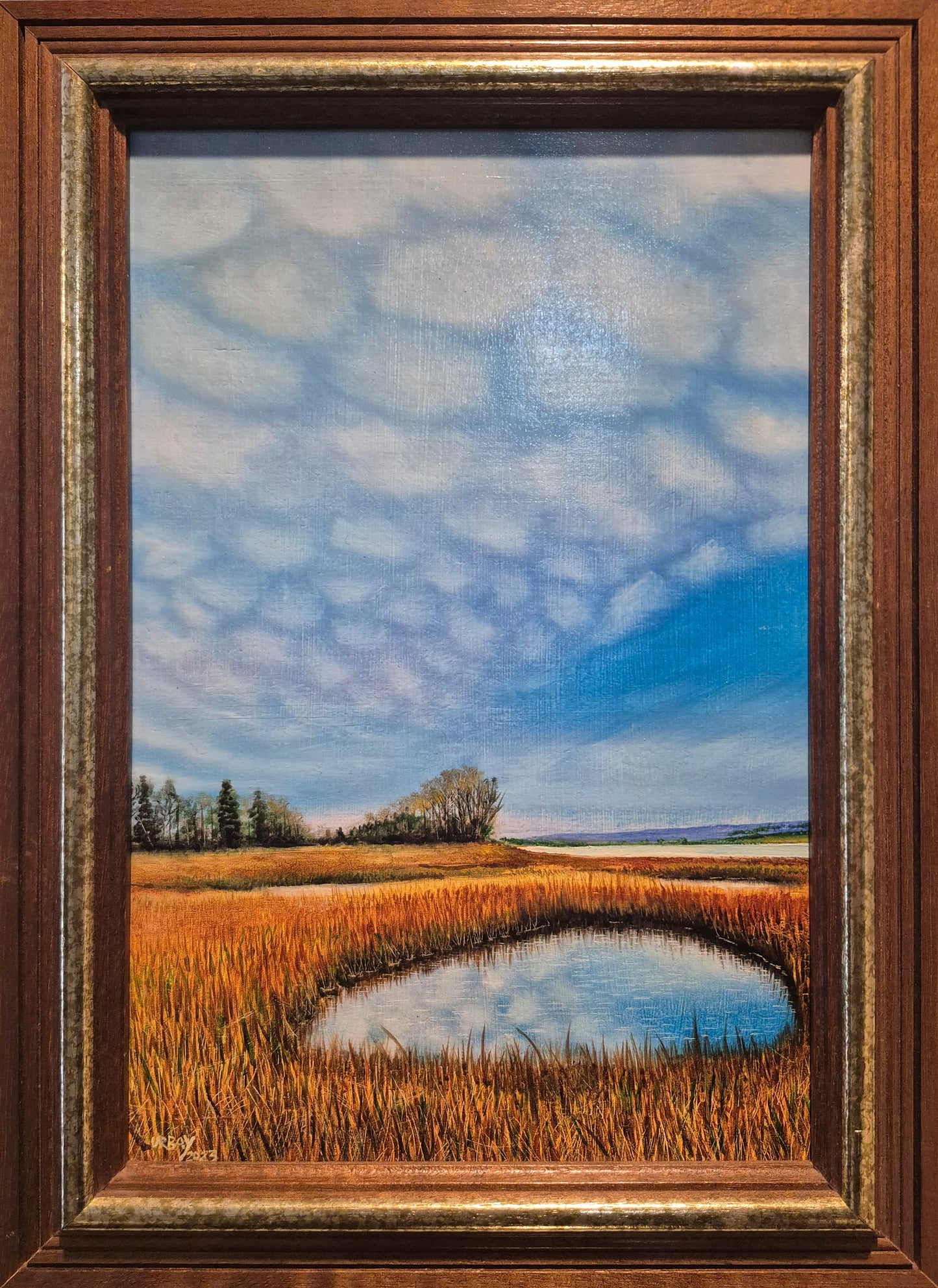 Marshland #1