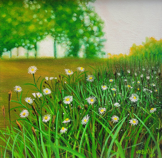 Purple Wild Daisies