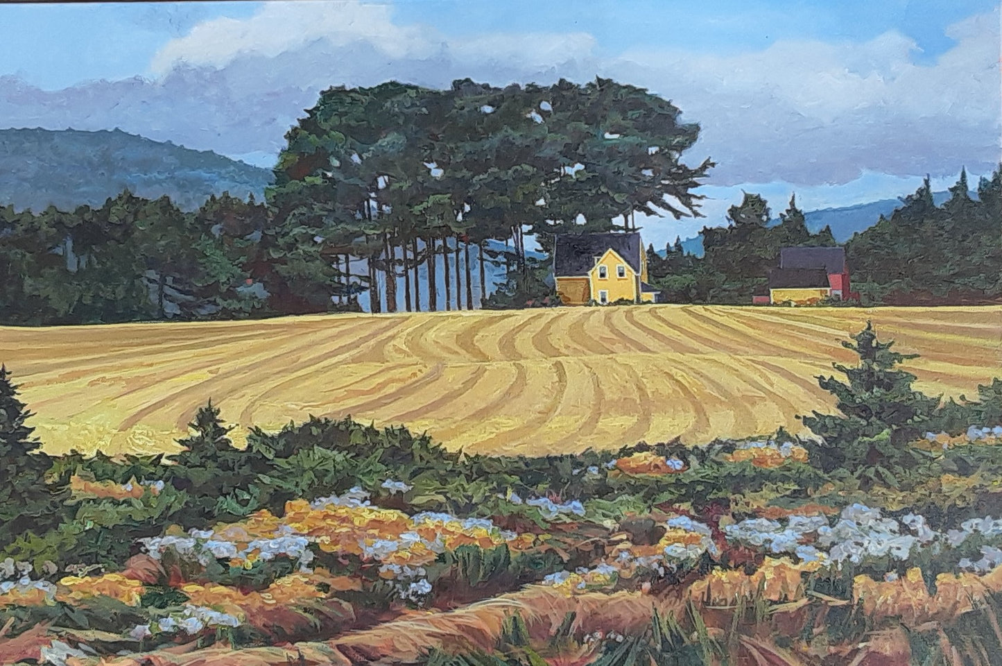 Yellow Farm House Cape Breton