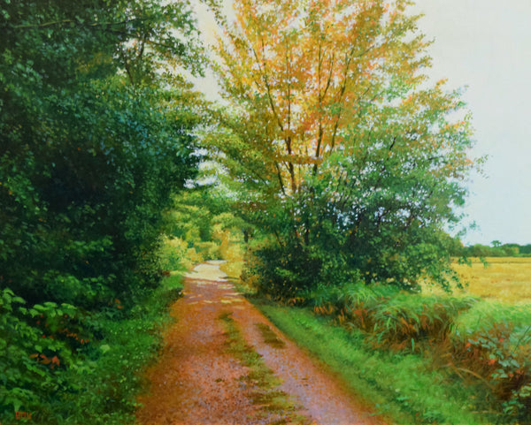 Autumn Trail