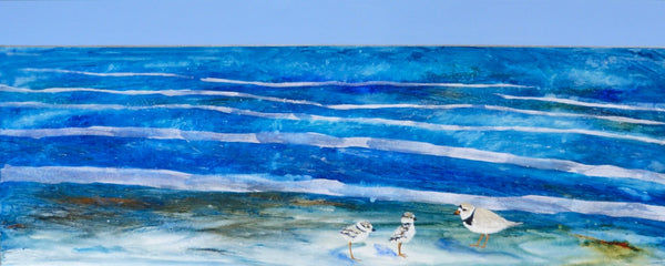 Shorebird Blues: Family Matters