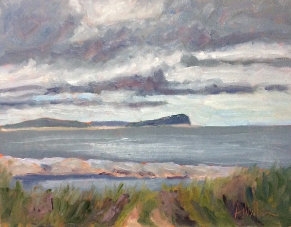 Storm Over Chezzetcook