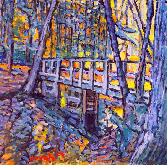 Footbridge at Roger's Brook - Keji
