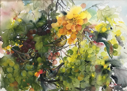 Green Grape Harvest