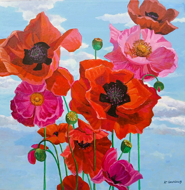 Poppies