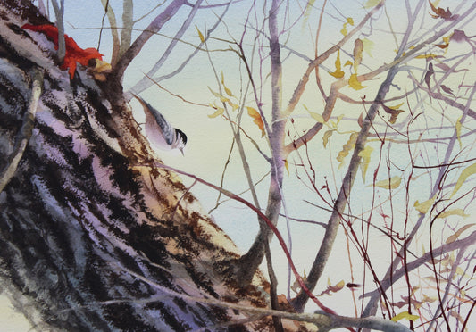 Chickadee in the Willows