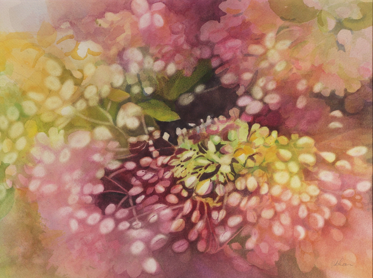 Blooming