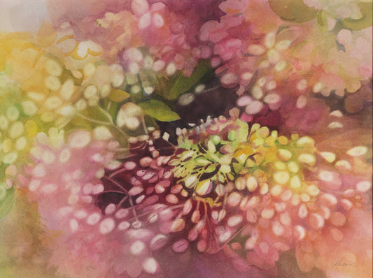 Blooming