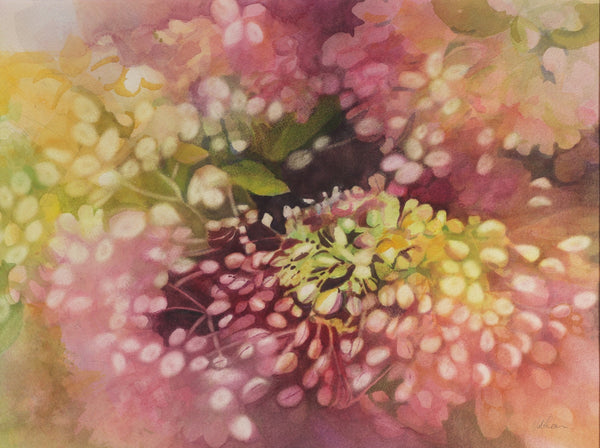 Blooming