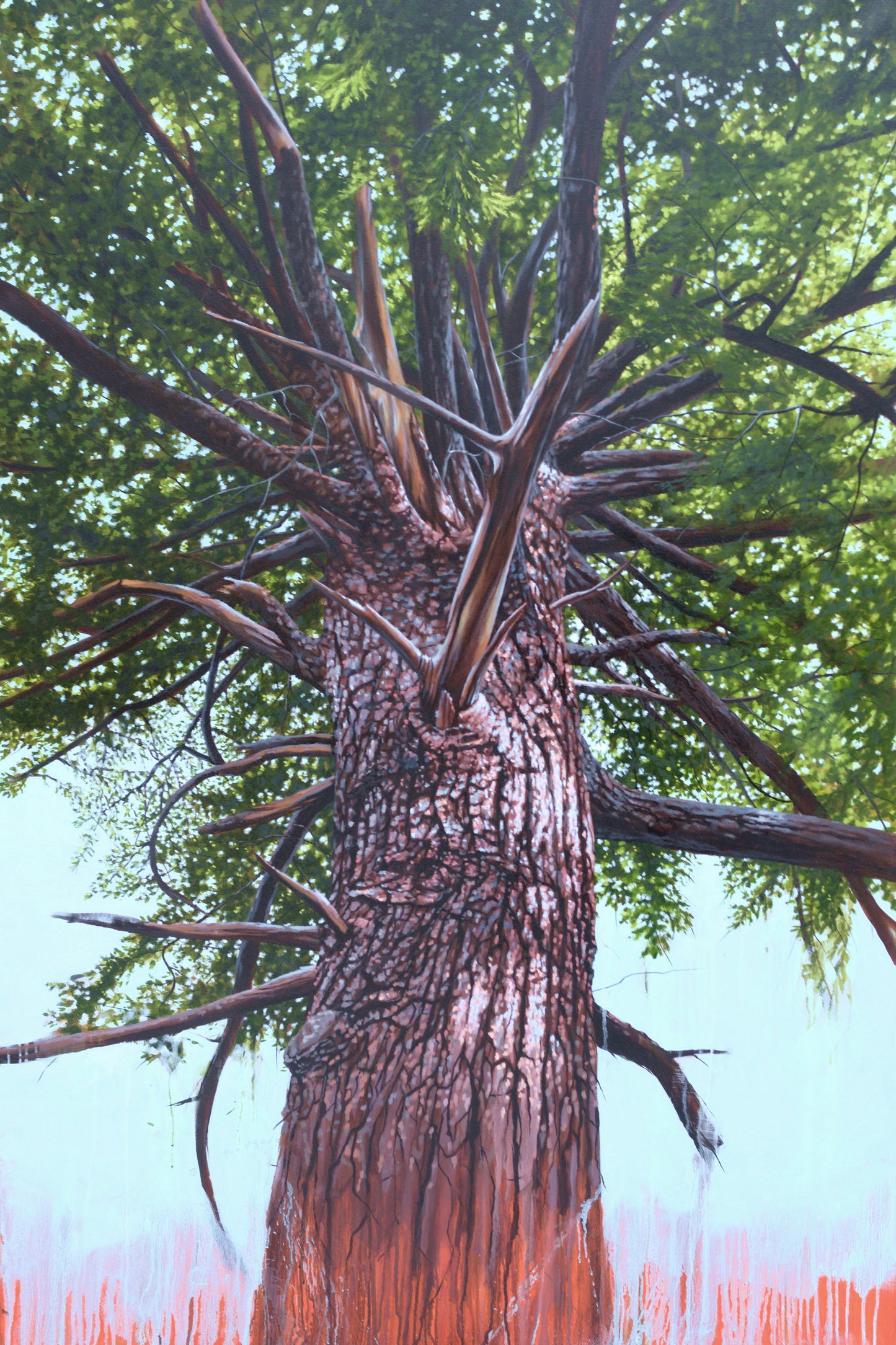 Hemlock and Light