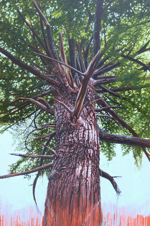 Hemlock and Light