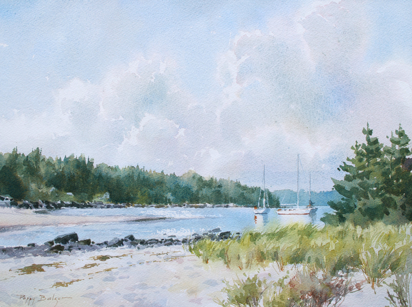 Carter's Beach