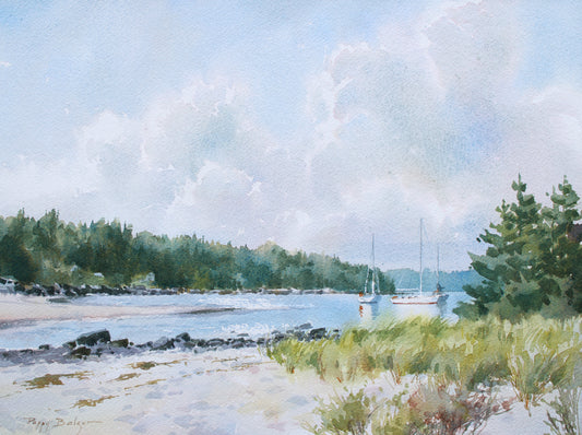 Carter's Beach