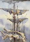 Setting the Sails