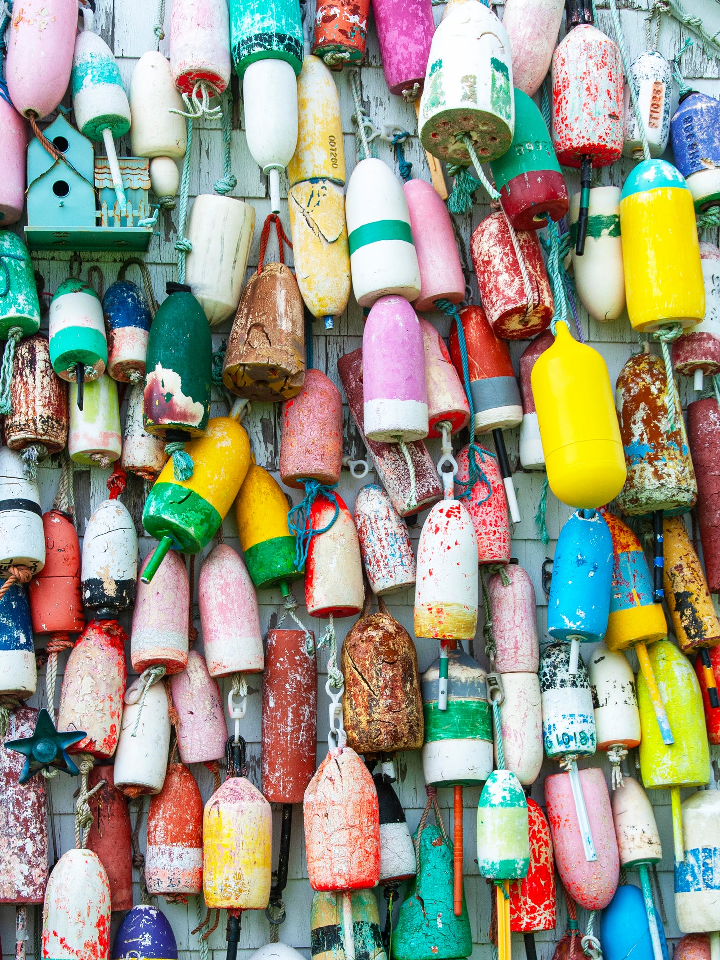 Buoys and a Bird House