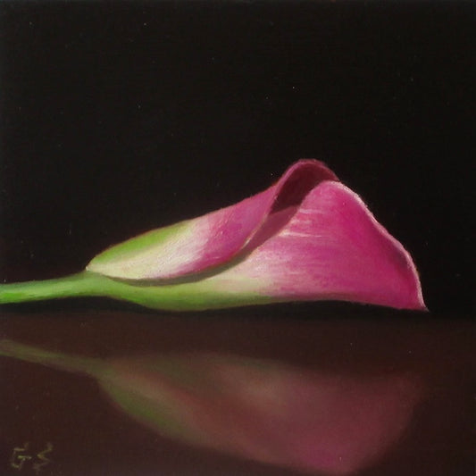Calla Lily #5