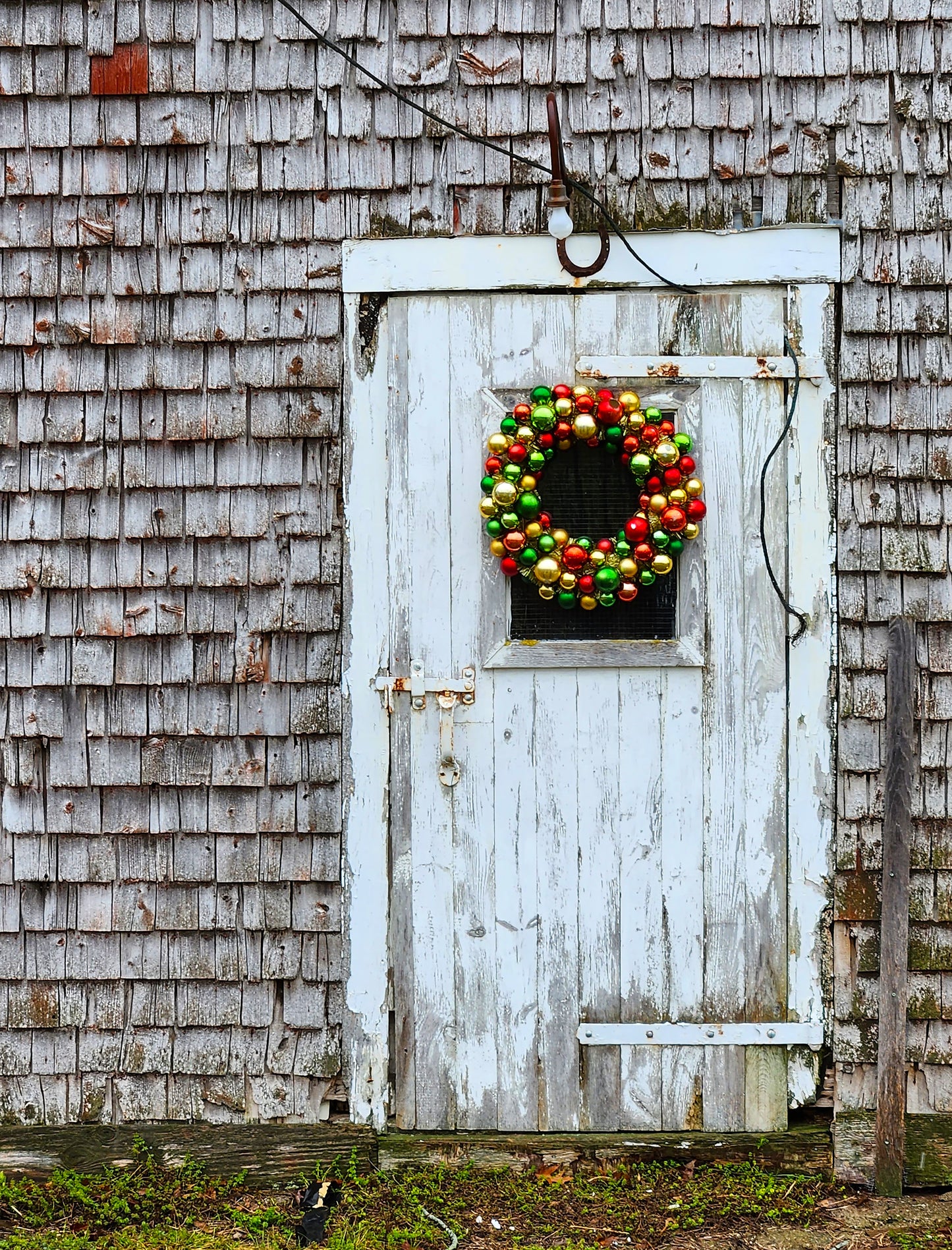 Festive Door 1/25