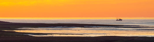 Minas Basin Morning