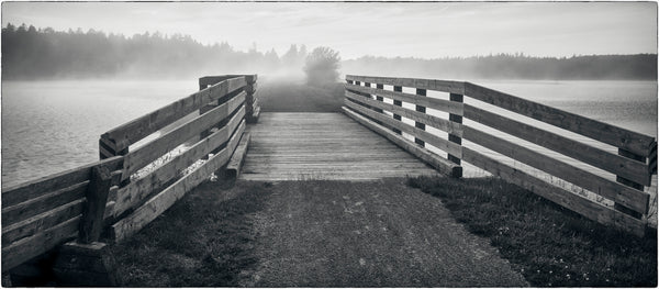 Salt Marsh Trail #1 (3/10)