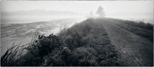 Salt Marsh Trail #2 (2/10)