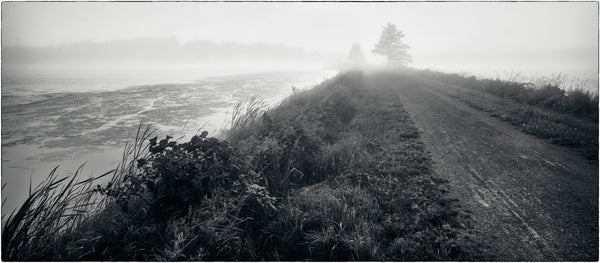 Salt Marsh Trail #2 (2/10)