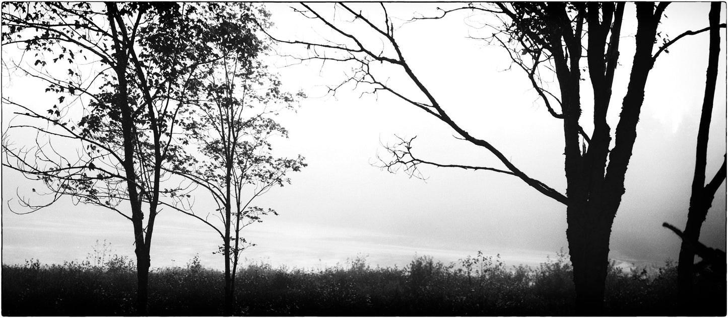 Liscomb River Dawn (2/10)