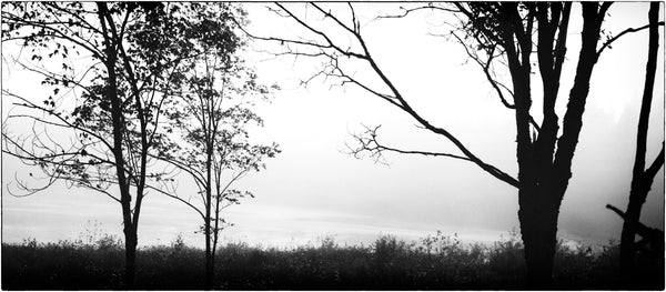 Liscomb River Dawn (2/10)