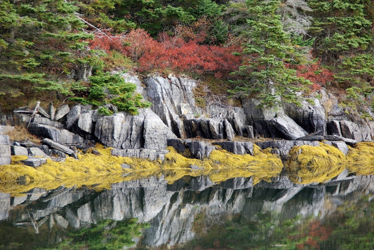 Stonehurst Reflection