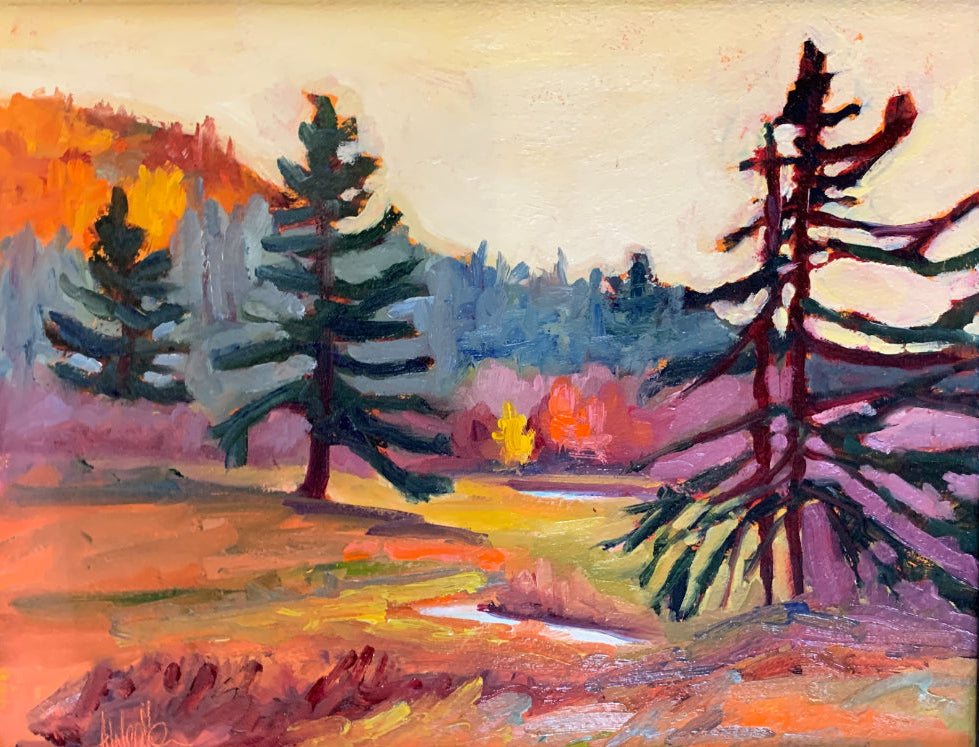 Fall Morning - Farell River