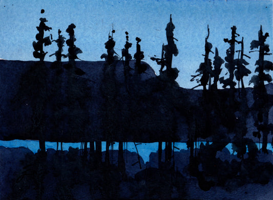 Five a.m. in Gros Morne National Park