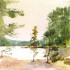 Grand Lake Point (Achray-Algonquin-ON)