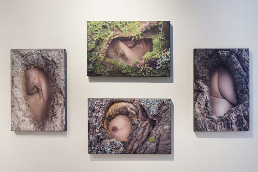 Faery Holes & Nether Regions I (quadtych) [artist proofs]