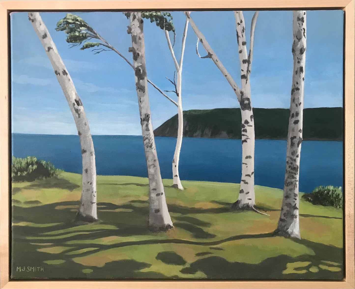 Five Birches
