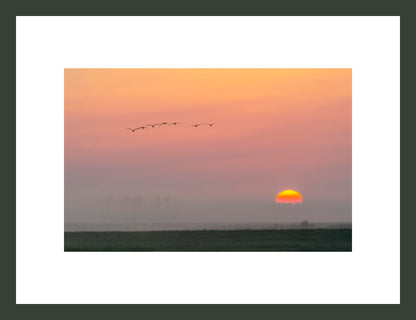 Flight at Sunrise II